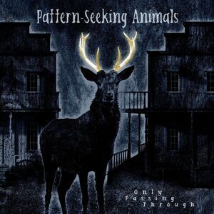 Pattern-Seeking Animals - Only Passing Through  LP LP